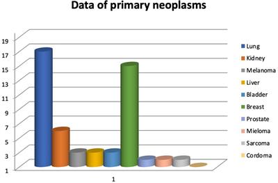 Management of Spinal Bone Metastases With Radiofrequency Ablation, Vertebral Reinforcement and Transpedicular Fixation: A Retrospective Single-Center Case Series